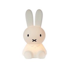 미스터마리아미피