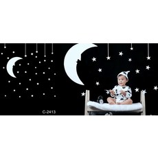 셀프촬영 배경 스튜디오 86종 아기 돌사진 배경천 50일 100일, DE