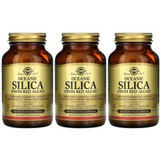 오세아콘퀘스트