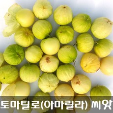 [해피플라워] 멕시칸 요리 재료 토마틸로 아마릴라(Amarylla) 씨앗 300립 / 봄 여름 파종 웰빙푸드 종자, 1개