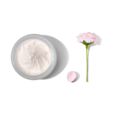올리올리 까멜리아 도자기 크림 대용량 고보습 100g [평일 4시 전 주문 오늘 출발] 데이크림, 1개