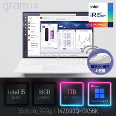 LG 2022 그램14(12세대) 14ZD90Q-GX56K, WIN11 Pro, 16GB, 1TB, 코어i5, 화이트