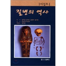 이집트역사