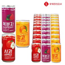 롯데 사과&복분자&망고 175ml X 각10개(총30개) 과채 과즙 음료 업소용 소캔 미니캔 음료도매 착즙, 30개