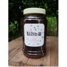 청정제주 봉개꿀 자연숙성꿀 2.4kg [원산지:국산(제주특별자치도 서귀포시)], 1개