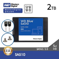 웨스턴디지털 WD Blue SA510 2TB 2.5 SSD (SATA3/TLC/5년), _2TB