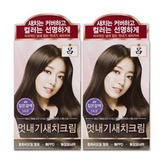 려 우아채 멋내기 새치 크림 염색약 짙은갈색 4N 새치전용 x 2개