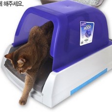 고양이스쿱프리리필