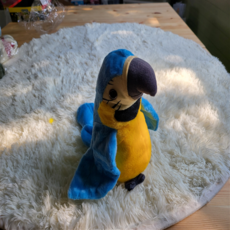 노래하는앵무새