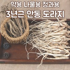 흙나물도라지