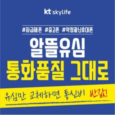 스카이라이프유심