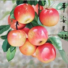 홍사과보석십자수