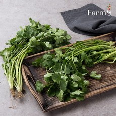 팜에이트 고수 허브 30g, 1팩