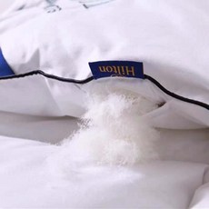 힐튼오리털