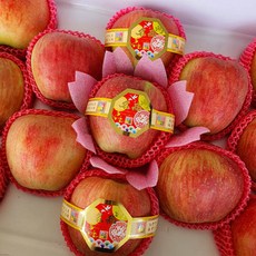 사과마루부사10kg