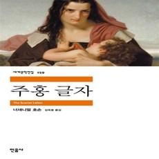 주홍 글자(민음사 세계문학전집 159)