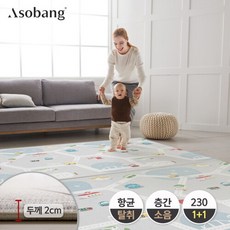 아소방1+1