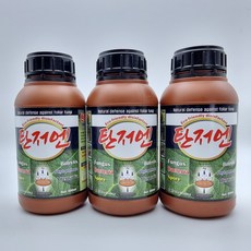 사과탄저병
