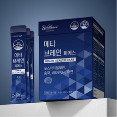 웰런스 메타브레인 PS 피에스 3g X 30포, 1박스