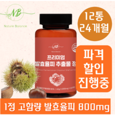 네이처발란스 발효율피 추출물 프리미엄 정 1000mg 60정, 12개