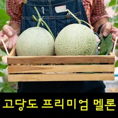 멜론밭속메롱맨