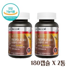 프로폴리스추출물