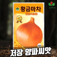 양파모종가격 TOP01