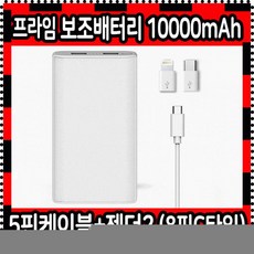 [애구애구] 강아지 슬개골 보호대 무릎 S M L XL 탈구 보조기 깁스 무릎보호대 관절, 프라임보조배터리10000mAh(2젠더)