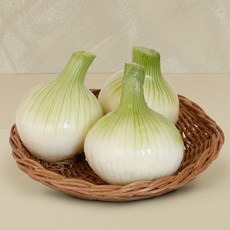[농협청과33번] 양파 4kg - 소, 1개