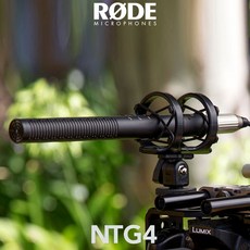 로데ntg4
