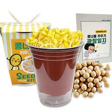 콩나물키우기관찰