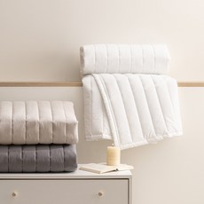 알레르망아티브2