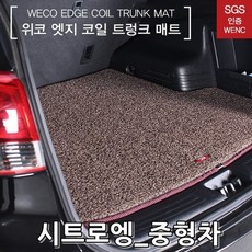 피카소13