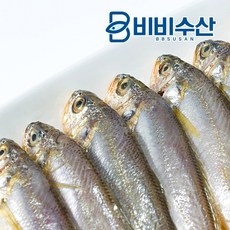 제주파지조기
