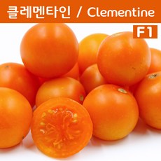 다이랑씨엠