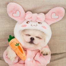 애견용품 애견의류 애견옷 반려견옷 강아지 옷 실내복 애완견 애견 의류 애견 과일시리즈 후드티 후리스티, 토끼_XL