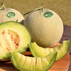 델푸릇수박