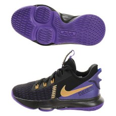 나이키 ( NIKE ) 농구화 르브론 위트니스 5 GS 갈라 CT4629-003 어린이