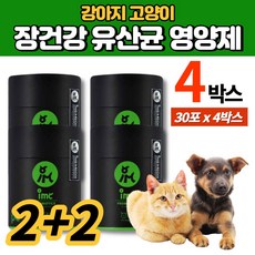  강아지 반려견 고양이 프로바이오틱스 유산균 가루 분말 파우더 프리바이오틱스 차전자피 소화 효소 흑효모 배양액 분말 동결건조 단호박, 4박스 