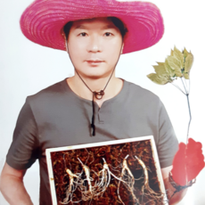 삼세상
