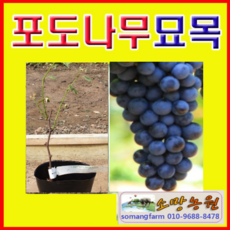 df9d3afe71e543b983a4043598ca86e906d68020adaadd7577c2e71213b0.png