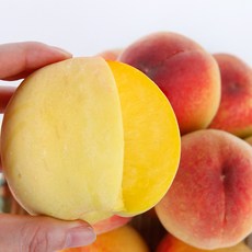 경북청도복숭아