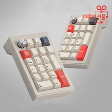 CIDOO 텐키패드 노트북 숫자 넘버패드 보조 키보드 숫자판 텐키 패드 RGB 라이트, V21 (USB-C)