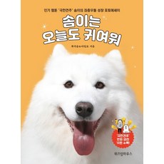 갯마을차차차포토에세이책