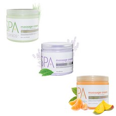 BCL SPA Massage Cream 마사지 크림 16oz, 그린티, 1개