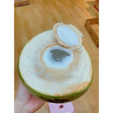생코코넛