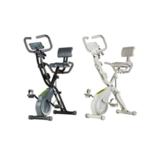 숀리엑스바이크플래티넘