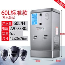 업소용 개수기 온수 대용량 자동 정수기 급식실, 60L