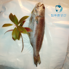 반건조 반찬용 국내산민어 참민어 말린생선 손질 제수용생선, 35cm