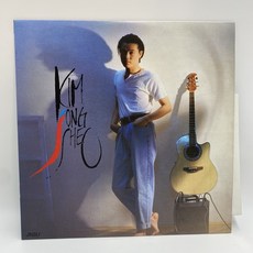 김종서lp TOP01